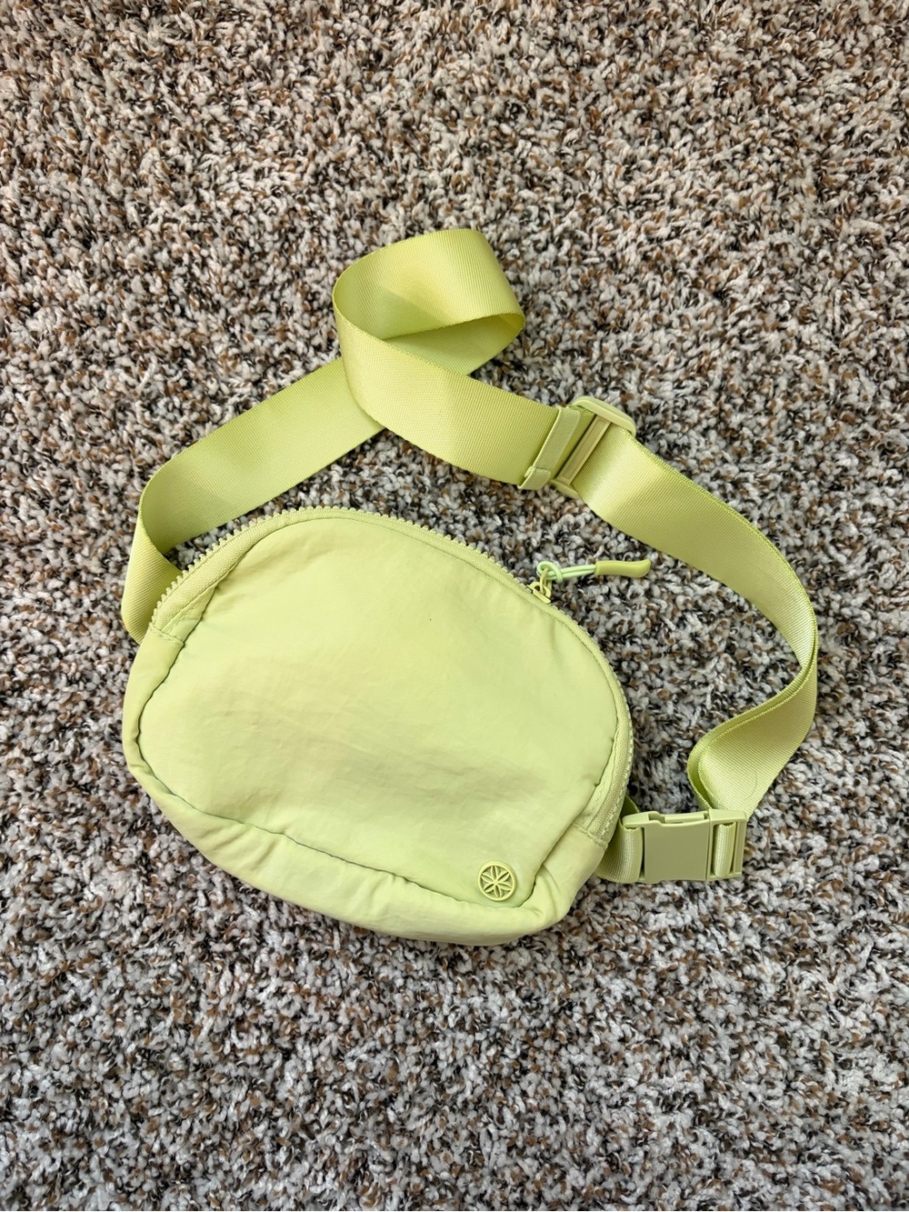 Everyday Bag Crossbody Belt Bag